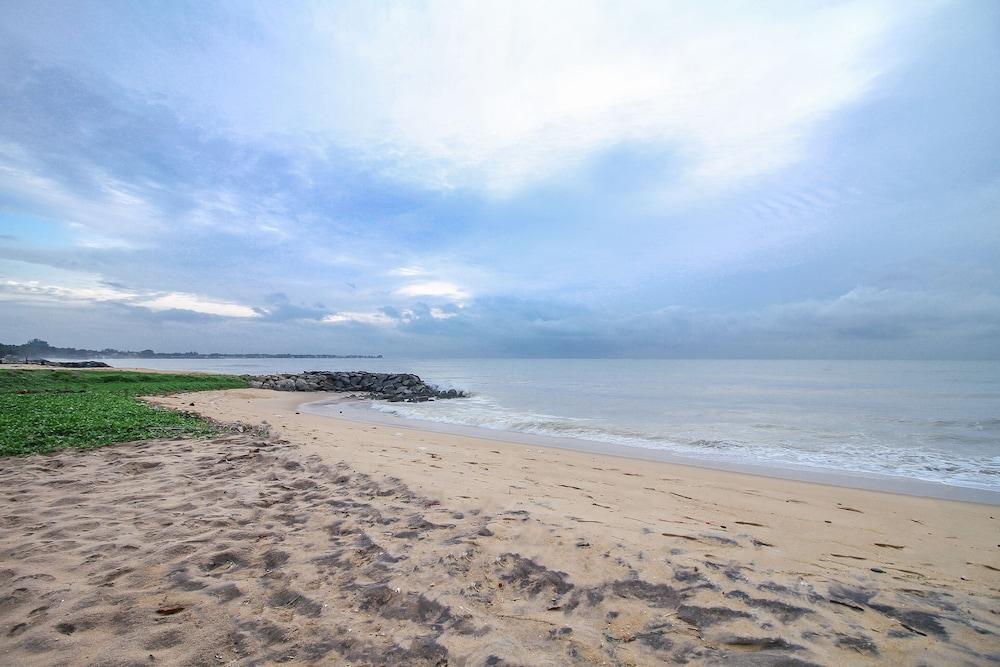 Ceylonica Beach Hotel เนกอมโบ ภายนอก รูปภาพ