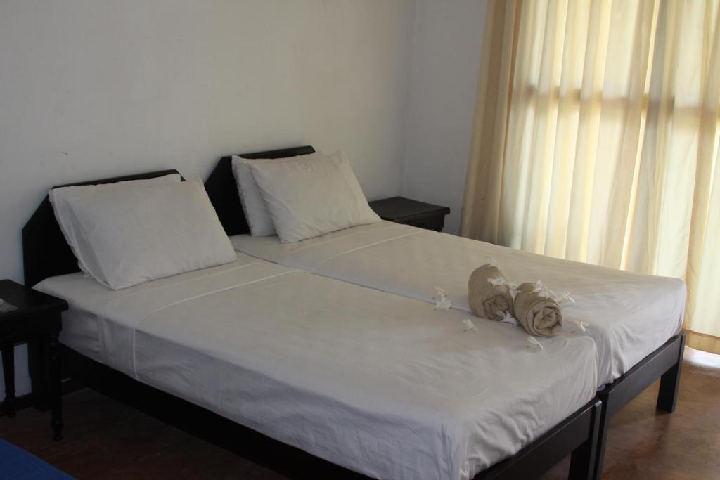 Ceylonica Beach Hotel เนกอมโบ ภายนอก รูปภาพ