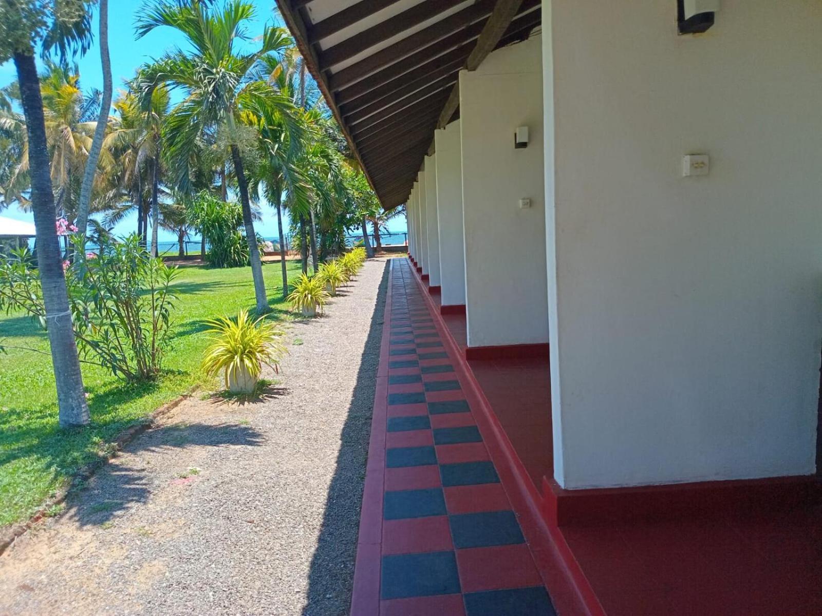 Ceylonica Beach Hotel เนกอมโบ ภายนอก รูปภาพ