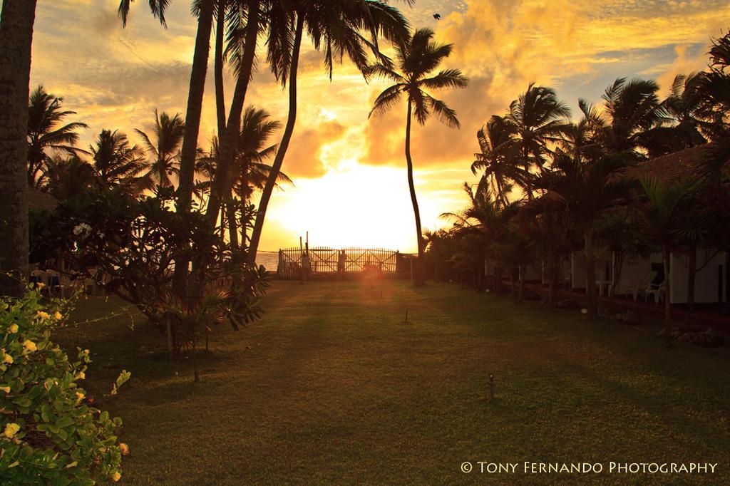 Ceylonica Beach Hotel เนกอมโบ ภายนอก รูปภาพ